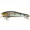 RIGGE  70 SP