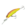 C.C. PREDATOR