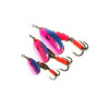AGLIA RAINBOW
