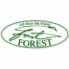 MIU FOREST (КОПИЯ)