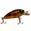 SPUNKY CRANK SR