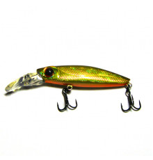 PONTOON 21 GAGA GOON 60 S MR-111