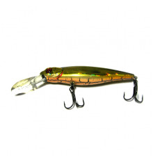 PONTOON 21 GREEDY GUTS 88 F MDR-402