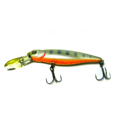 PONTOON 21 GREEDY GUTS 88 F MDR-404