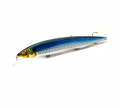 MEGABASS KANATA 160F-06 (Копия)